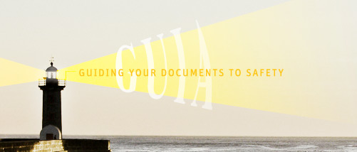 Guiding Documents